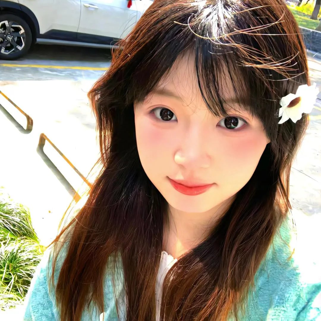 我的青春路过你的锦年